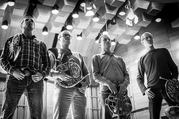 Hornet Quartet / photo: